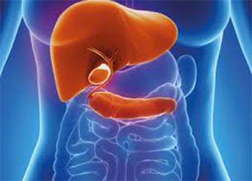 gastroenterologist in pune