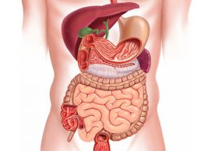 gastroenterologist in pune