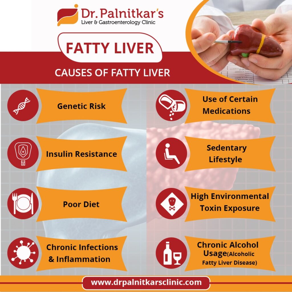 Causes of Fatty Liver Dr. Sachin Palnitkar